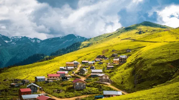 Tur Kapağı
