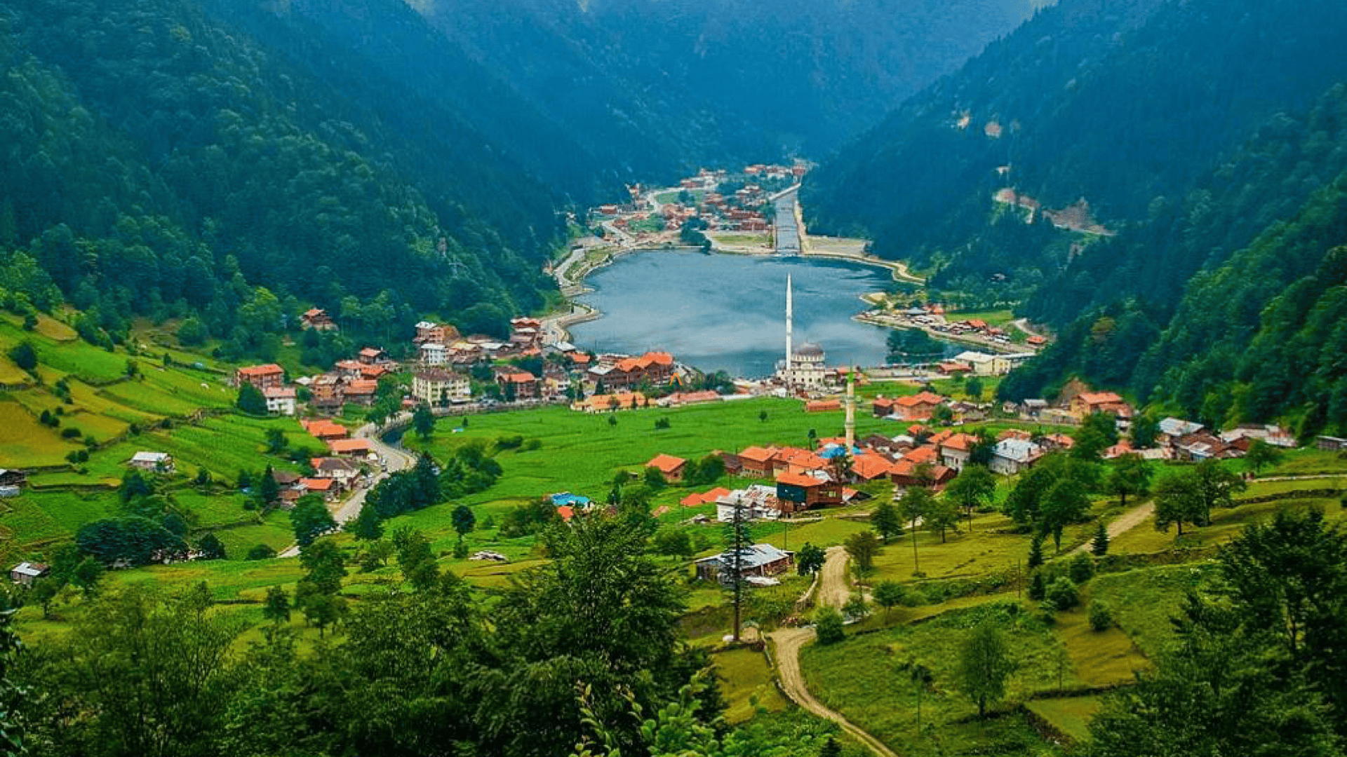 Tur Görseli